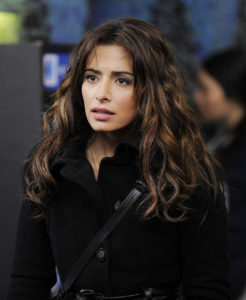Sarah Shahi